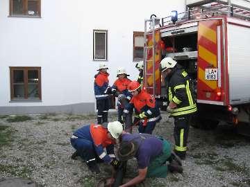 Niederkam