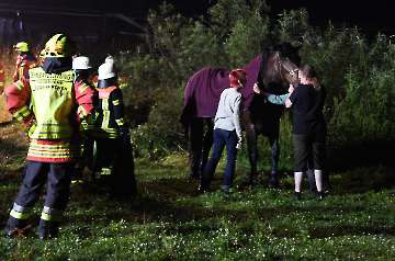 Großtierrettung  Bodenkirchen 10.07.2024